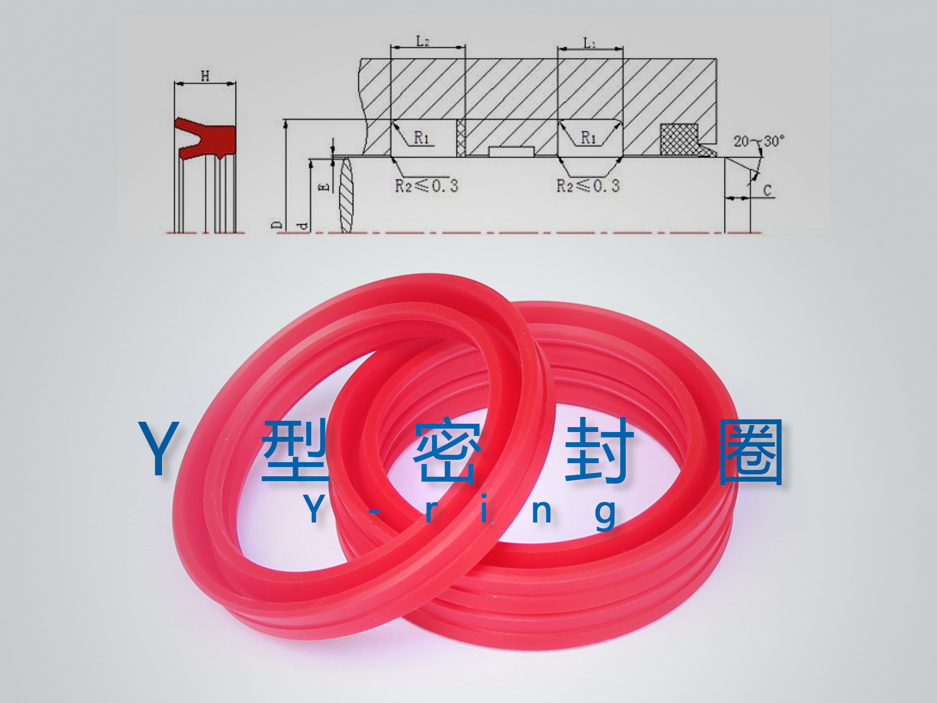 Y型密封圈（密封件、油封）與截面結(jié)構(gòu)產(chǎn)品圖